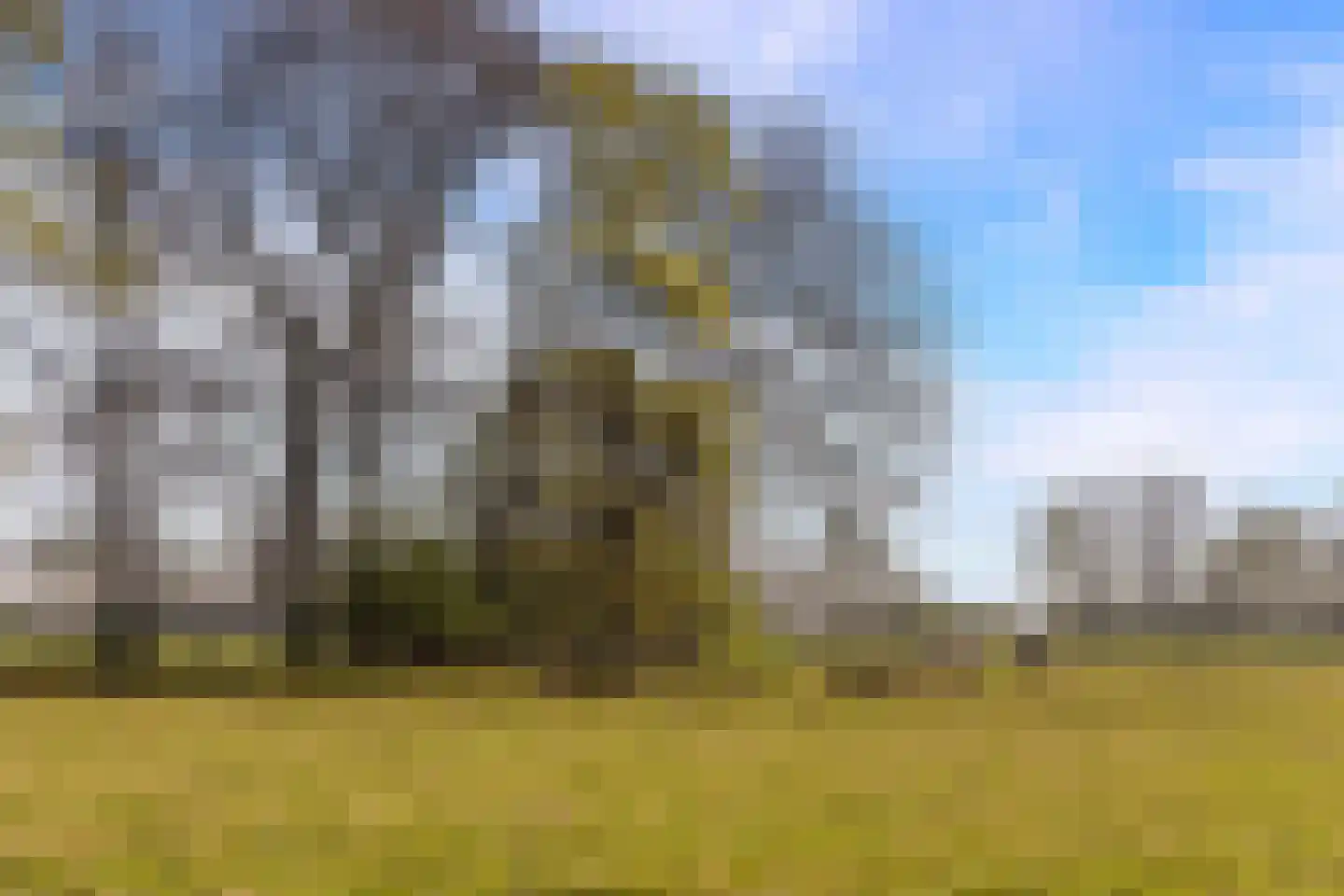 Schoolkaterdijk 80 Haaksbergen thumbnail 11