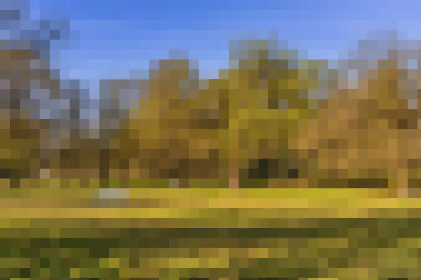 Schoolkaterdijk 80 Haaksbergen thumbnail 13