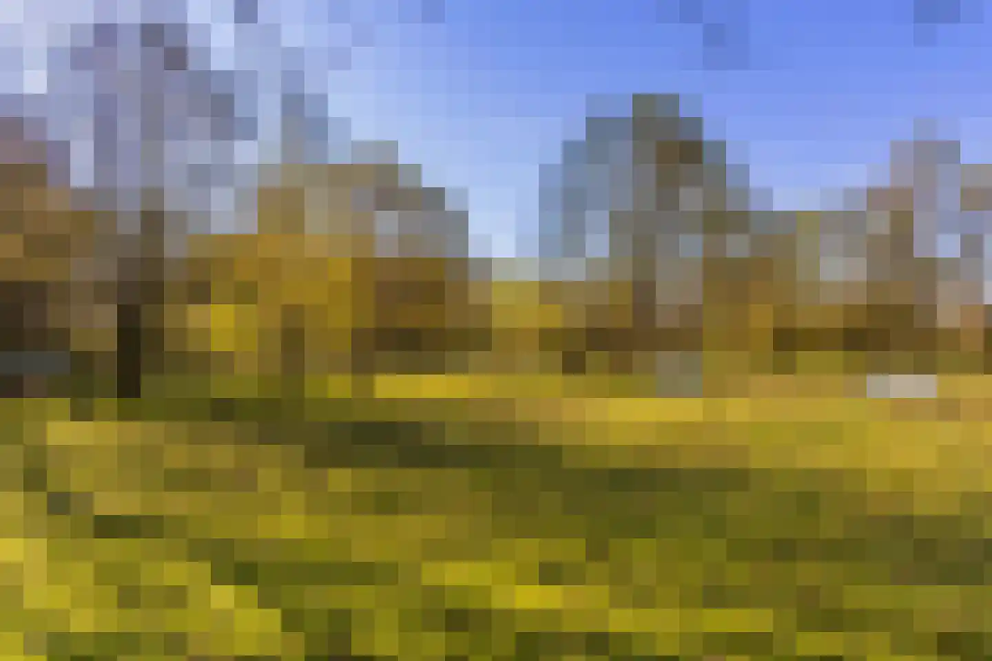 Schoolkaterdijk 80 Haaksbergen thumbnail 14