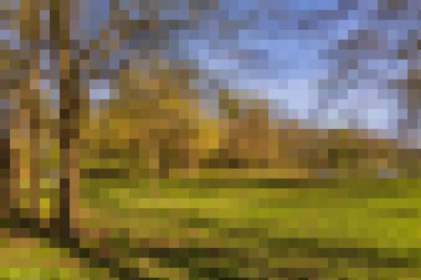 Schoolkaterdijk 80 Haaksbergen thumbnail 15