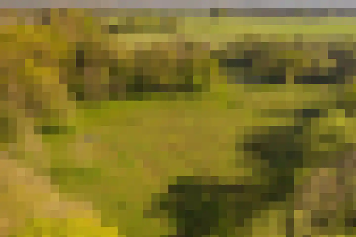 Schoolkaterdijk 80 Haaksbergen thumbnail 17