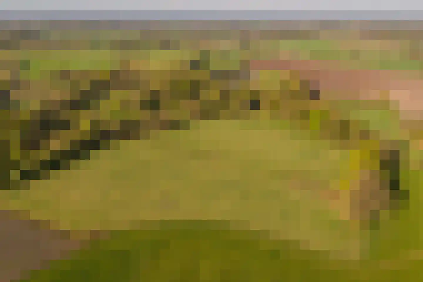 Schoolkaterdijk 80 Haaksbergen thumbnail 18