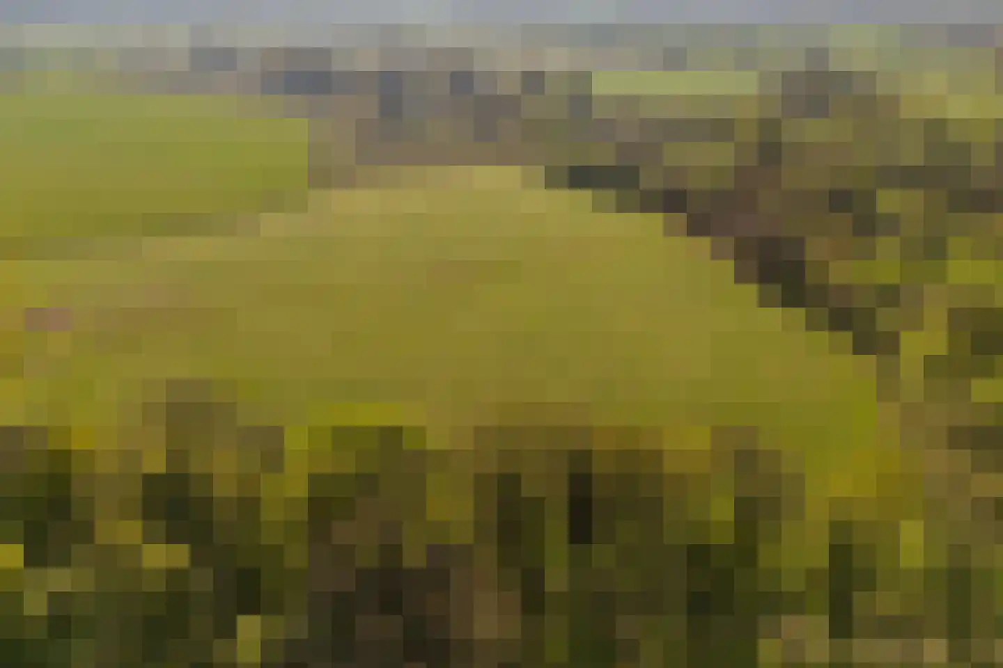 Schoolkaterdijk 80 Haaksbergen thumbnail 20