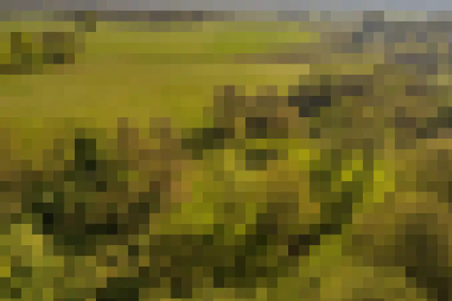 Schoolkaterdijk 80 Haaksbergen thumbnail 22