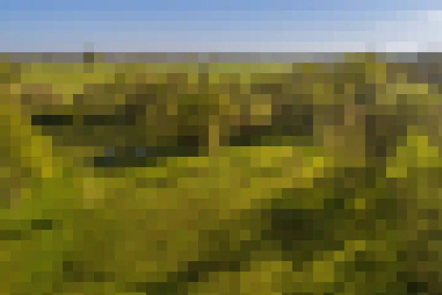 Schoolkaterdijk 80 Haaksbergen thumbnail 23