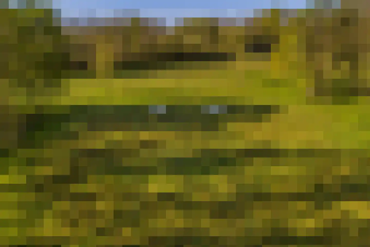 Schoolkaterdijk 80 Haaksbergen thumbnail 24