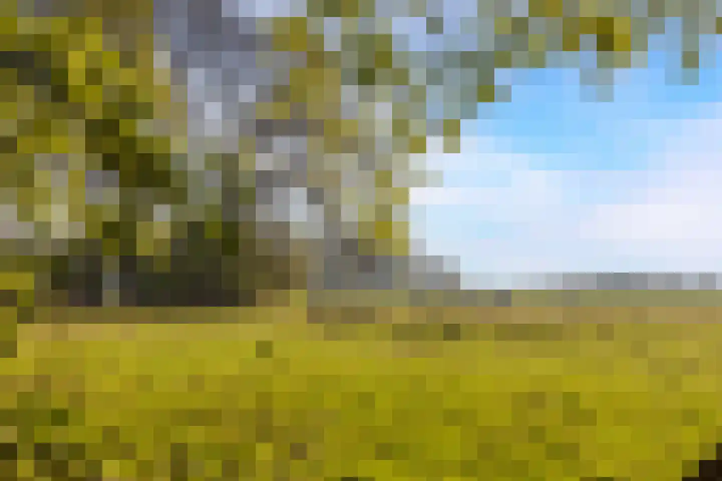 Schoolkaterdijk 80 Haaksbergen thumbnail 4