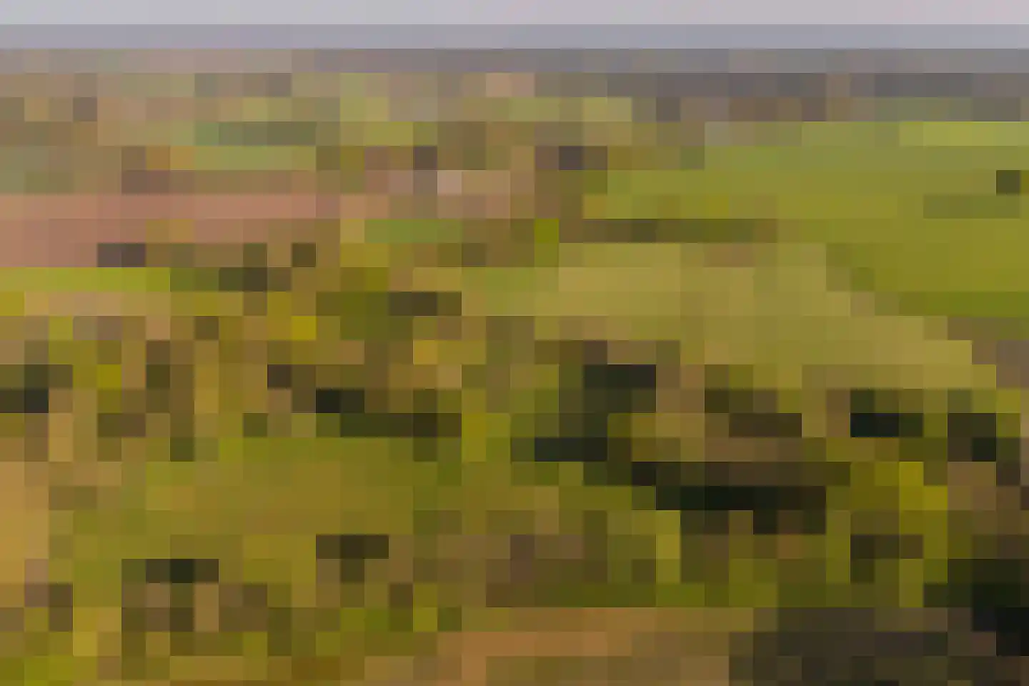 Schoolkaterdijk 80 Haaksbergen thumbnail 5