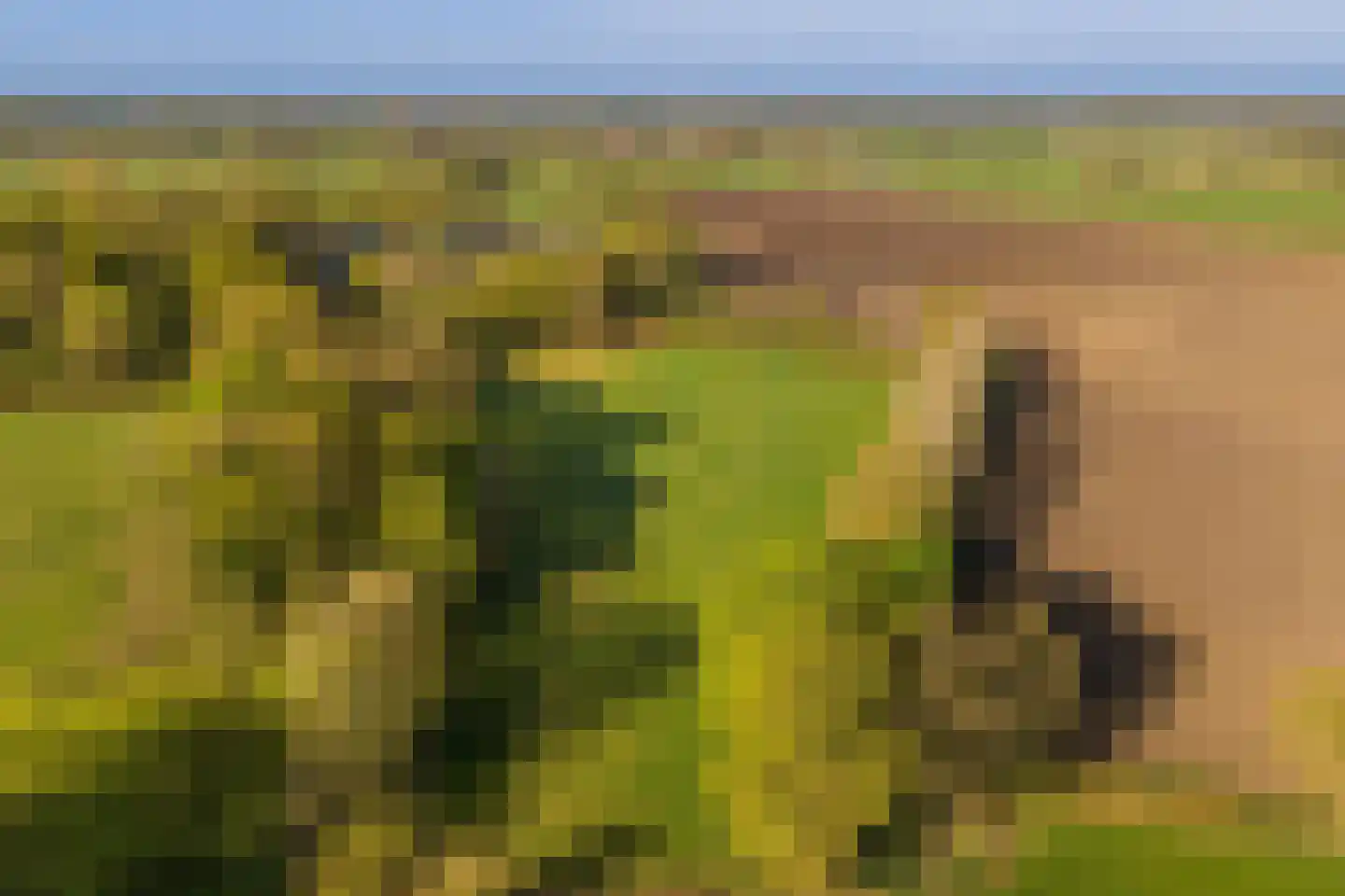 Schoolkaterdijk 80 Haaksbergen thumbnail 6