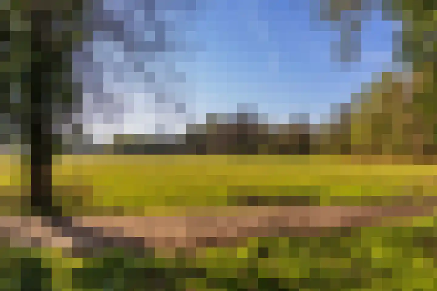 Schoolkaterdijk 80 Haaksbergen thumbnail 8