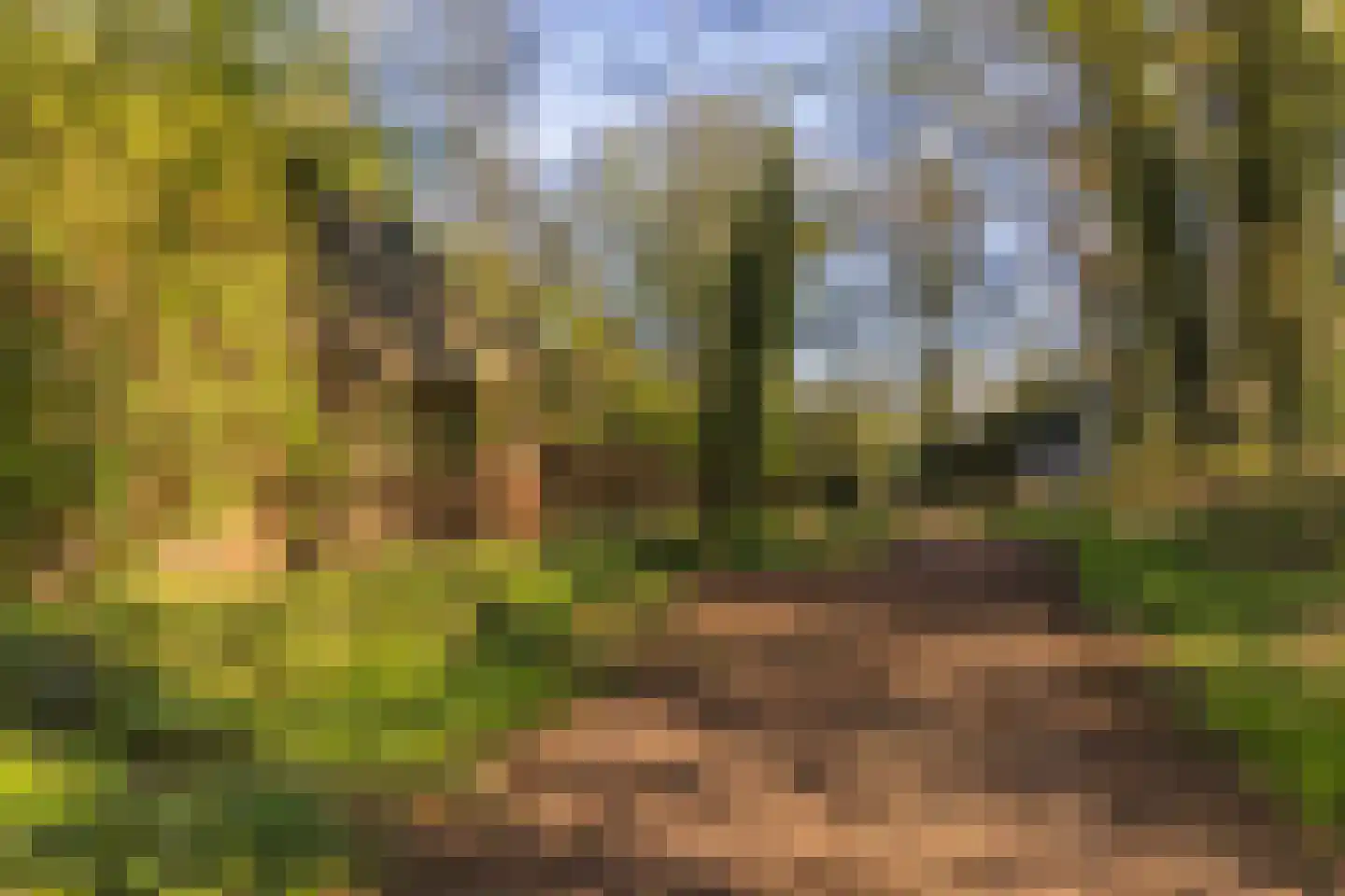 Schoolkaterdijk 80 Haaksbergen thumbnail 9
