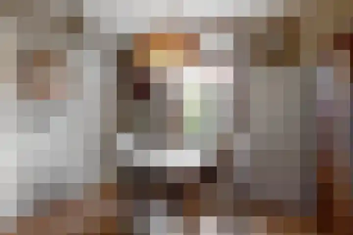 Schoollaan 10 Hekelingen thumbnail 10