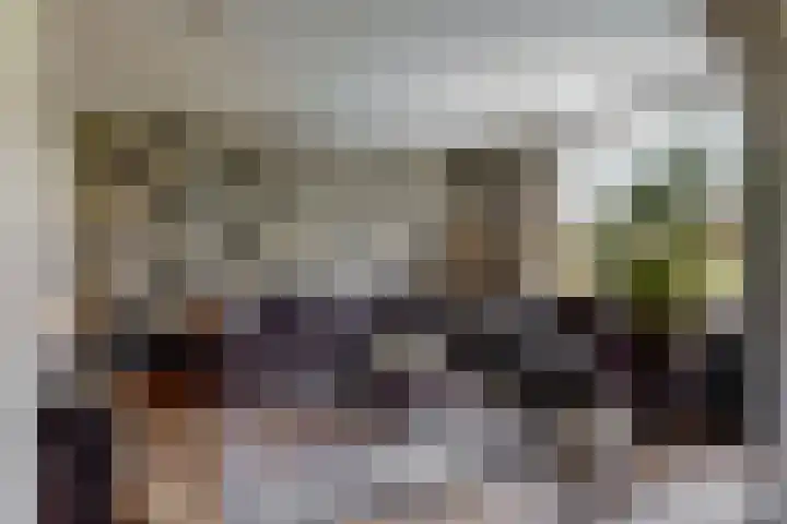 Schoollaan 10 Hekelingen thumbnail 11