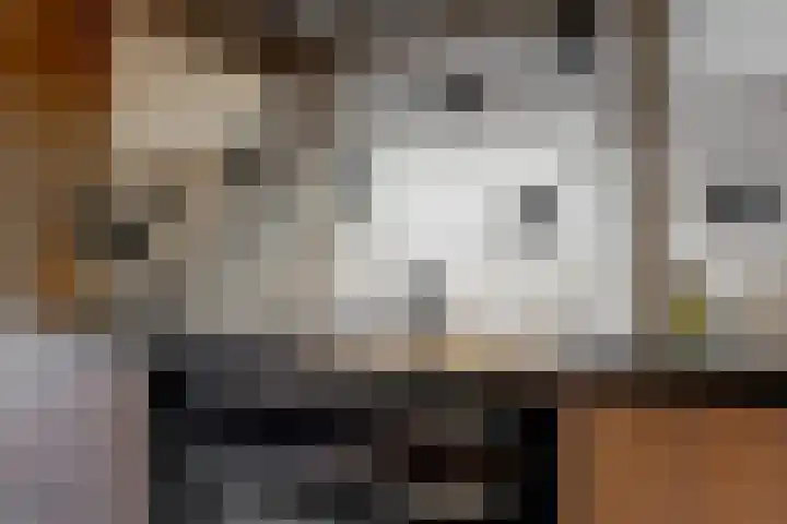 Schoollaan 10 Hekelingen thumbnail 13
