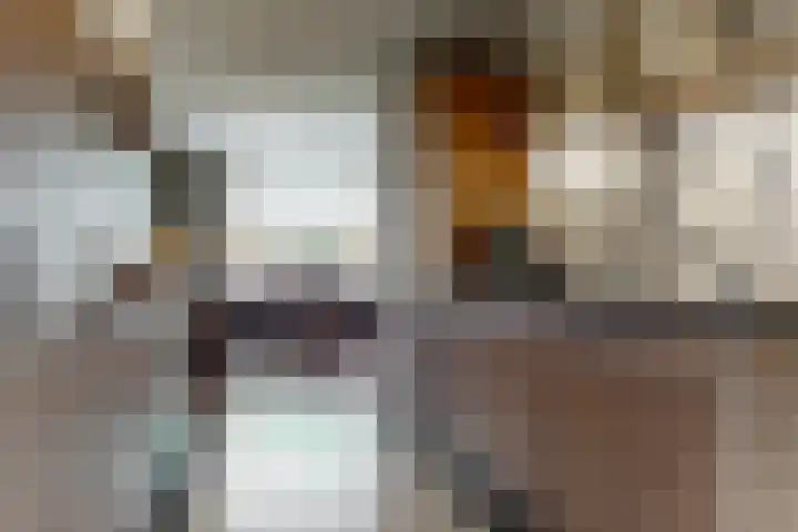 Schoollaan 10 Hekelingen thumbnail 16