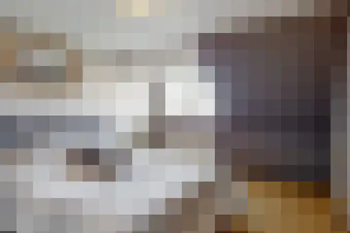 Schoollaan 10 Hekelingen thumbnail 23