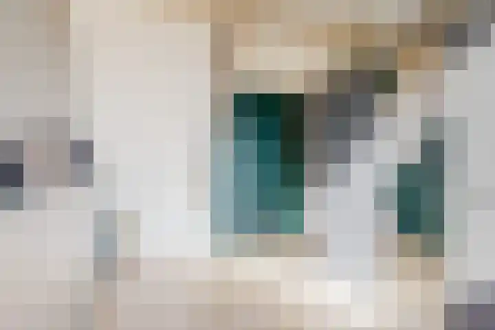 Schoollaan 10 Hekelingen thumbnail 28