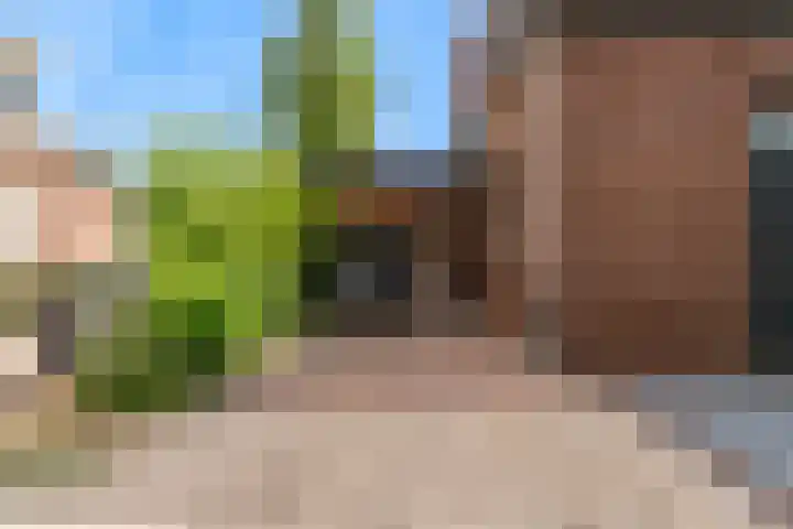 Schoollaan 10 Hekelingen thumbnail 45
