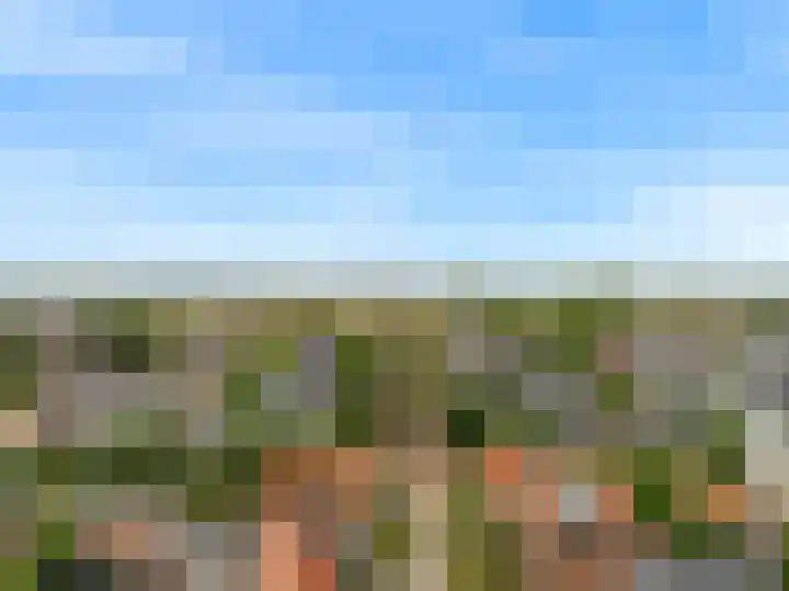 Schoollaan 10 Hekelingen thumbnail 56