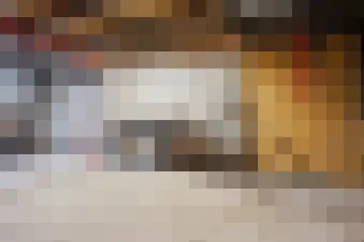 Schoollaan 110 Bennebroek thumbnail 18