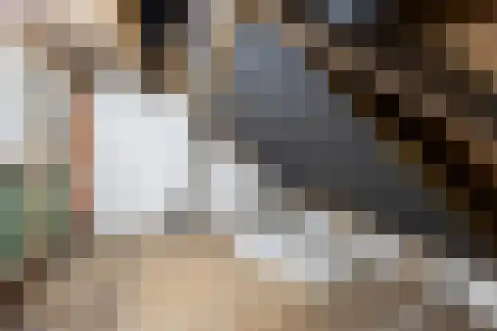 Schoollaan 110 Bennebroek thumbnail 31