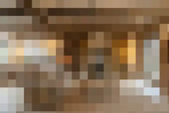 Schoollaan 110 Bennebroek thumbnail 8