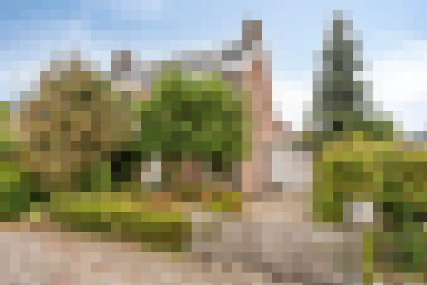 Schoollaan 113 Bennebroek