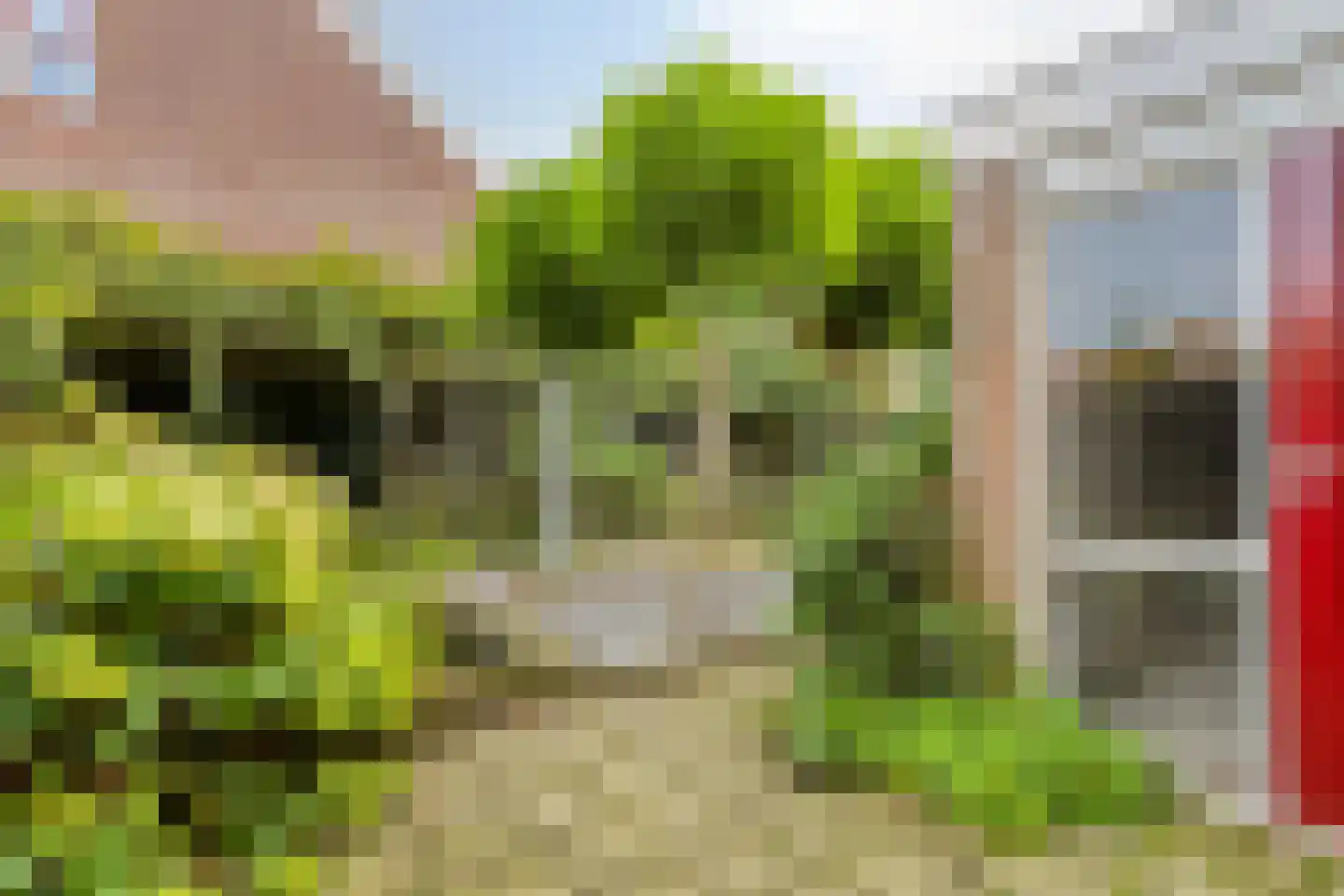 Schoollaan 113 Bennebroek thumbnail 11