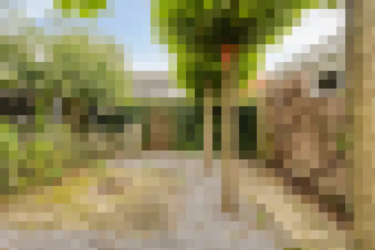Schoollaan 113 Bennebroek thumbnail 12