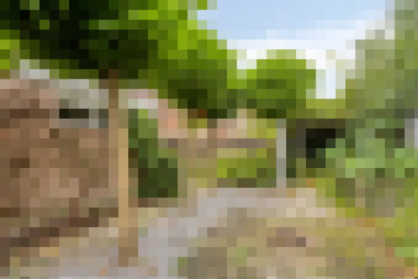 Schoollaan 113 Bennebroek thumbnail 13