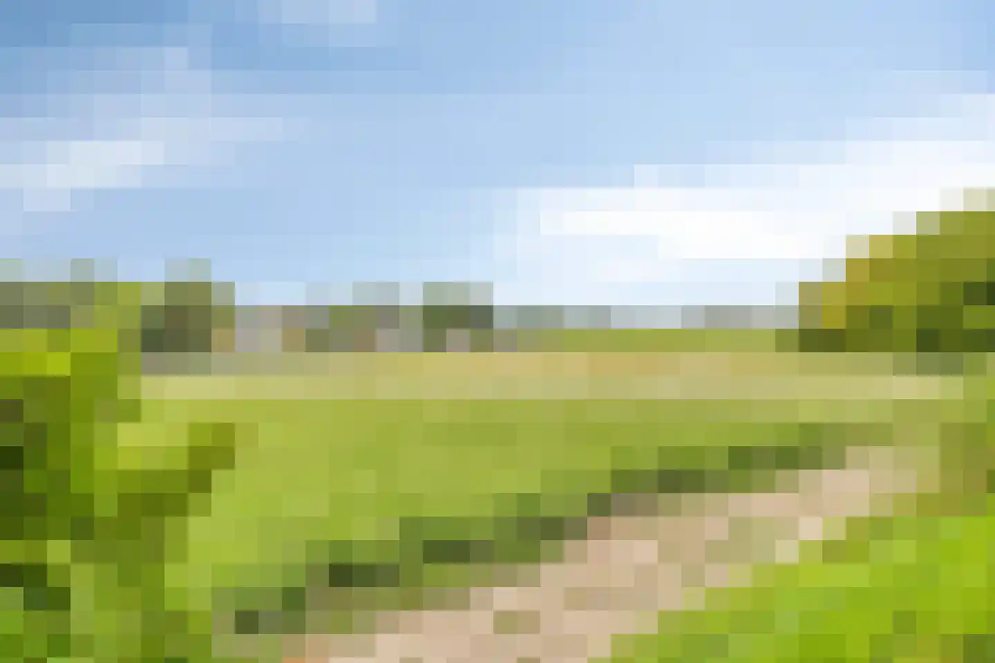 Schoollaan 113 Bennebroek thumbnail 35