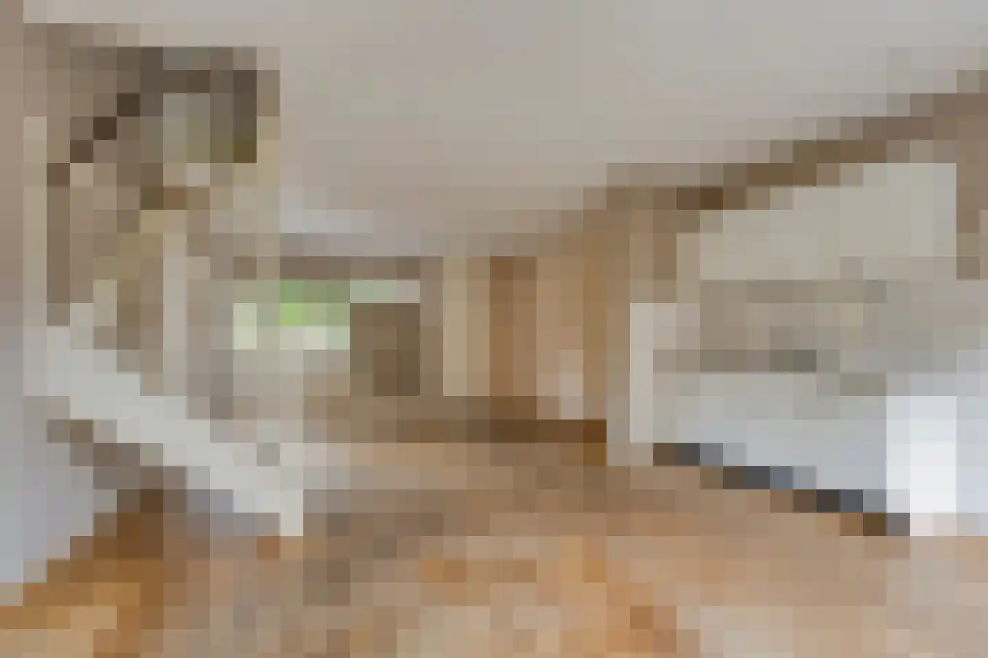 Schoollaan 113 Bennebroek thumbnail 8