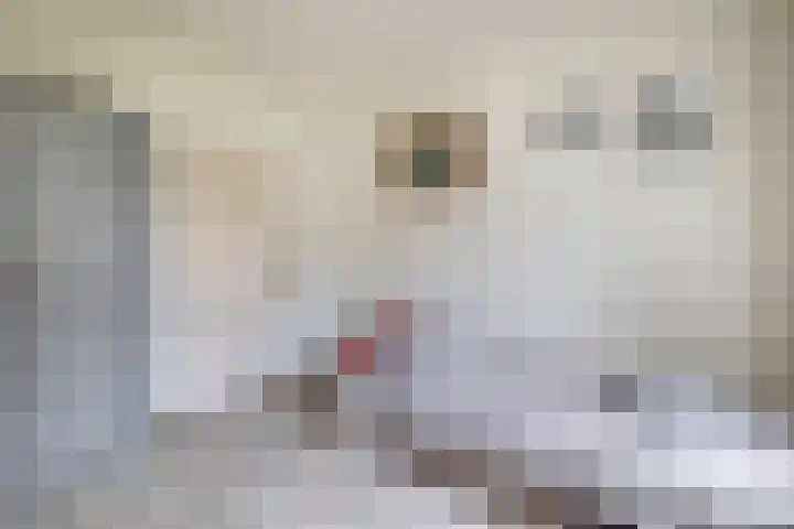 Schoollaan 14 Blijham thumbnail 24