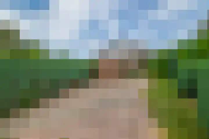 Schoollaan 14 Blijham thumbnail 38