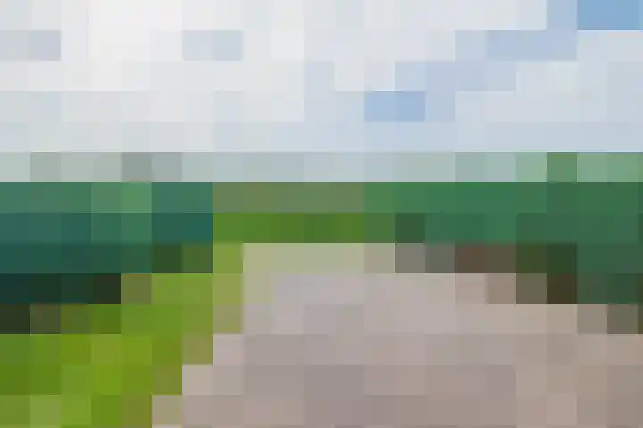 Schoollaan 14 Blijham thumbnail 4