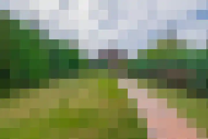 Schoollaan 14 Blijham thumbnail 41