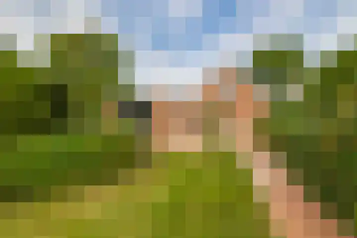 Schoollaan 14 Blijham thumbnail 42