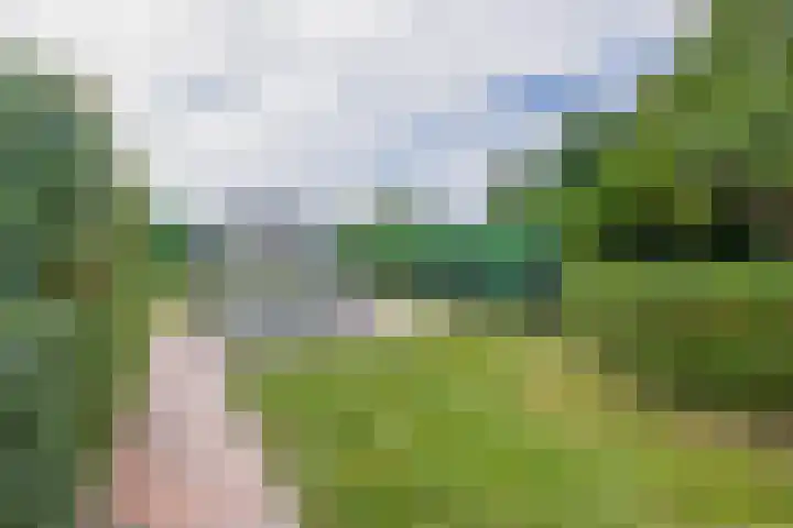 Schoollaan 14 Blijham thumbnail 43