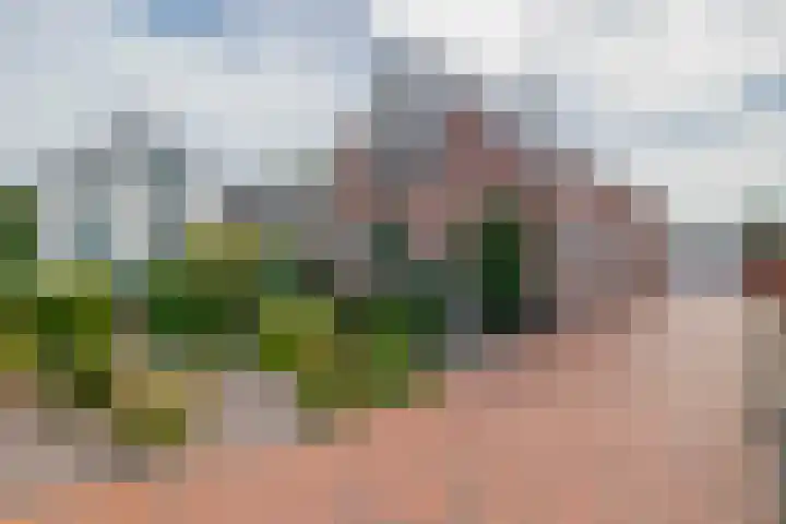 Schoollaan 14 Blijham thumbnail 5