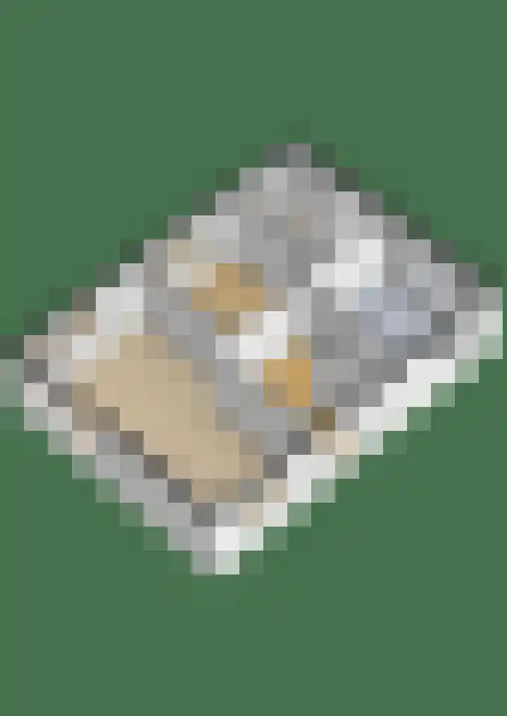 Schoollaan 14 Blijham thumbnail 50