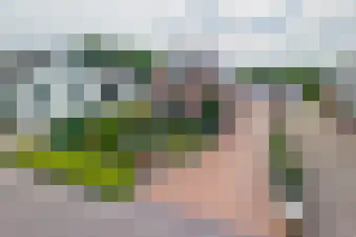 Schoollaan 14 Blijham thumbnail 59