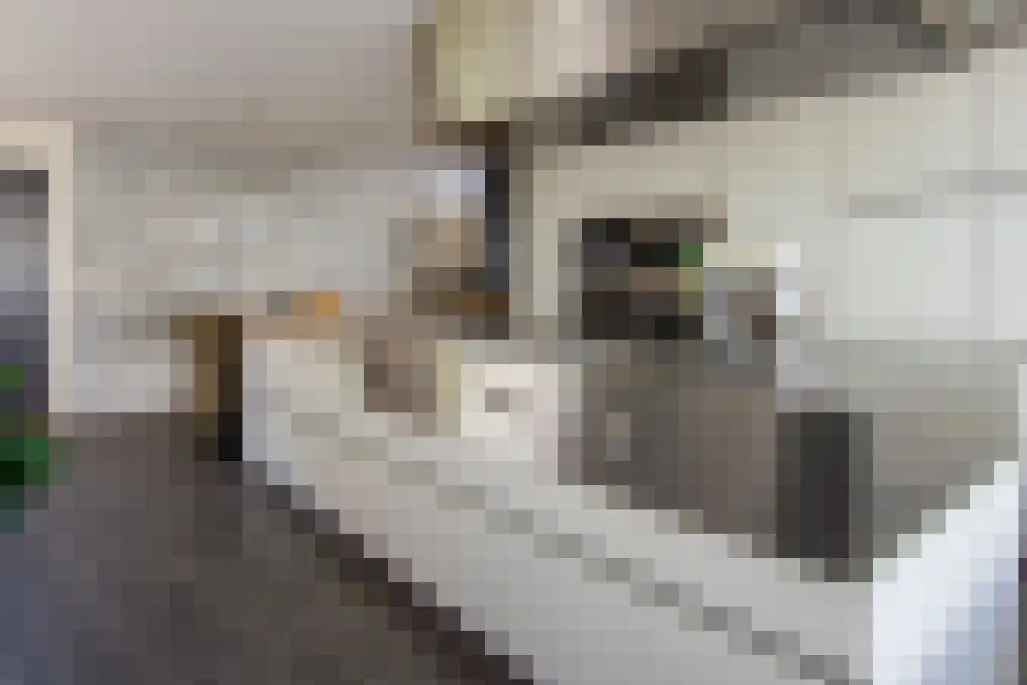 Schoollaan 2 Bennebroek thumbnail 11