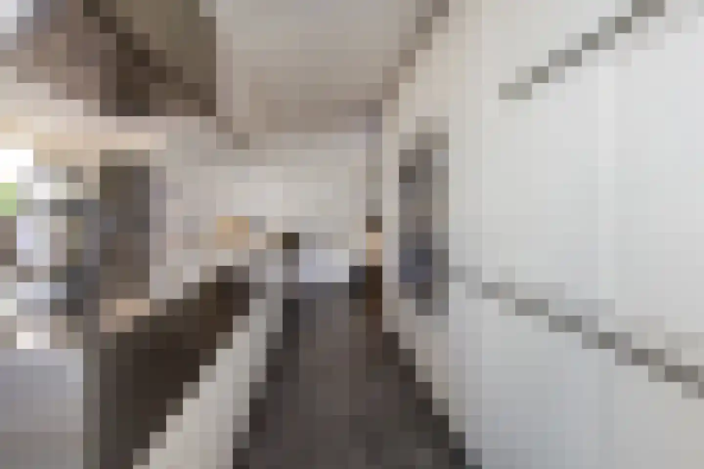 Schoollaan 2 Bennebroek thumbnail 12