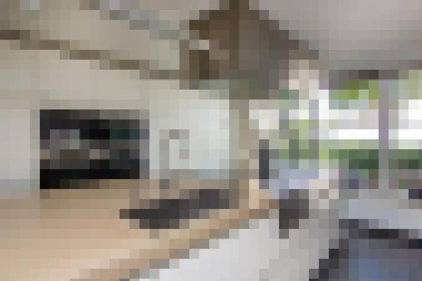 Schoollaan 2 Bennebroek thumbnail 15