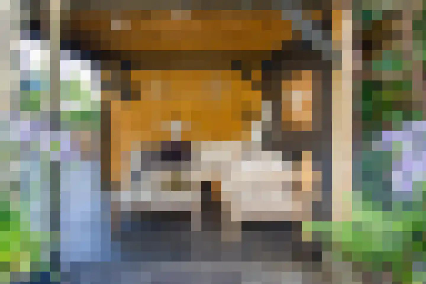 Schoollaan 2 Bennebroek thumbnail 25