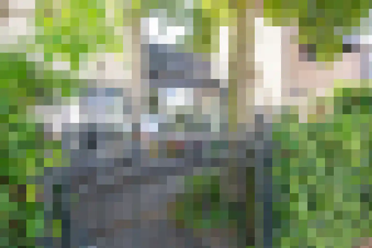 Schoollaan 2 Bennebroek thumbnail 6