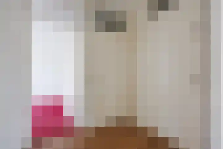 Schoollaan 26 Siddeburen thumbnail 24