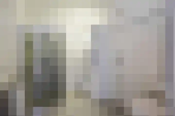 Schoollaan 26 Siddeburen thumbnail 28