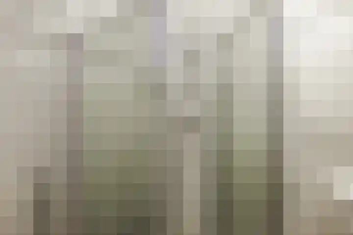 Schoollaan 26 Siddeburen thumbnail 29