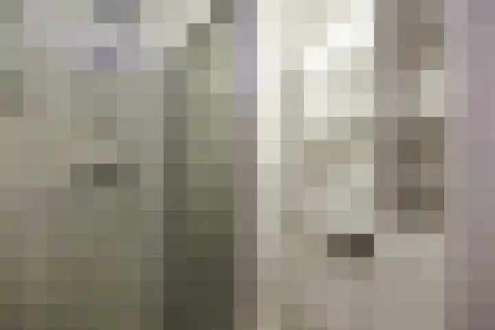 Schoollaan 26 Siddeburen thumbnail 30